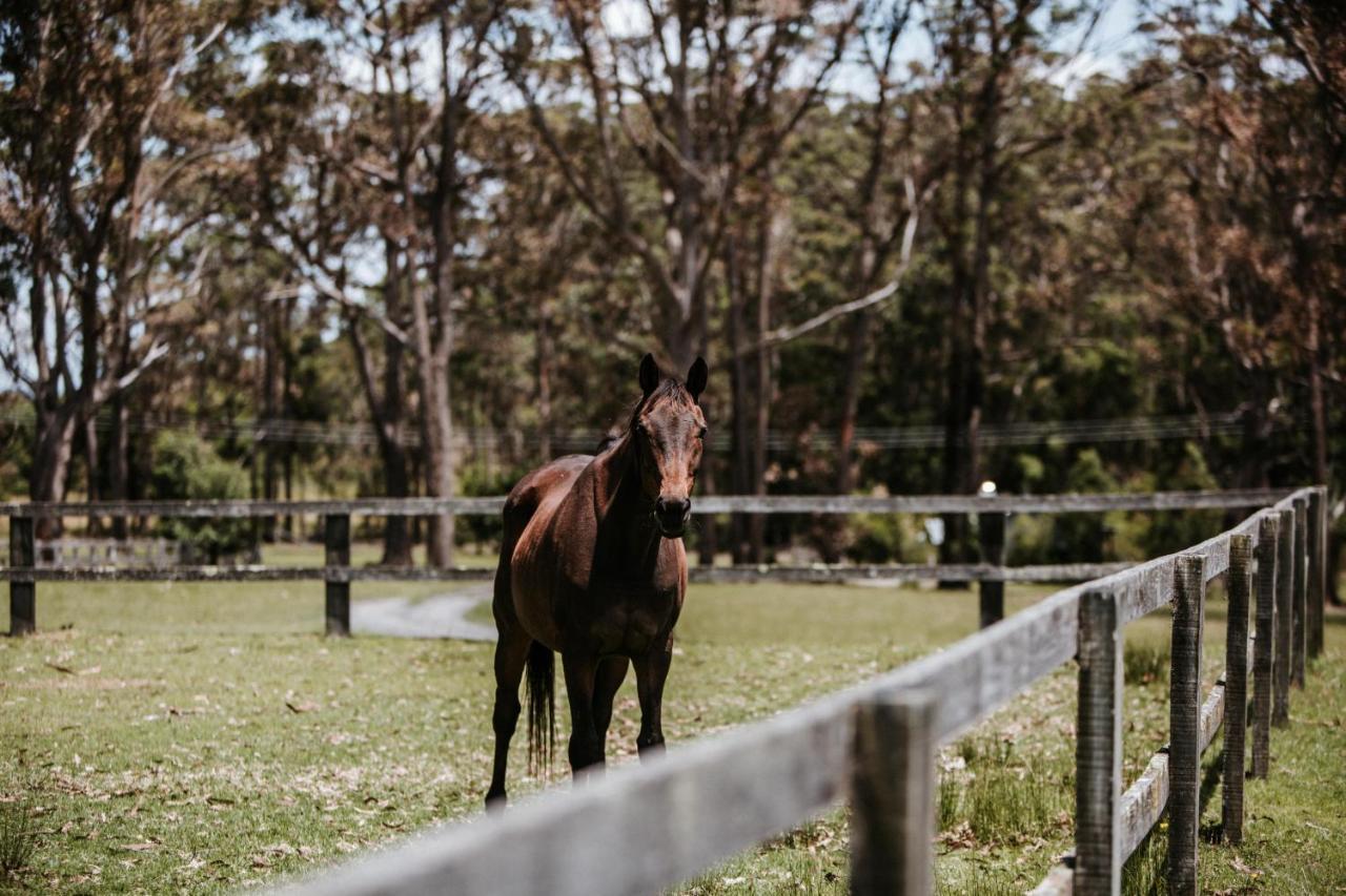 Hotel Worrowing Jervis Bay Huskisson Exterior foto