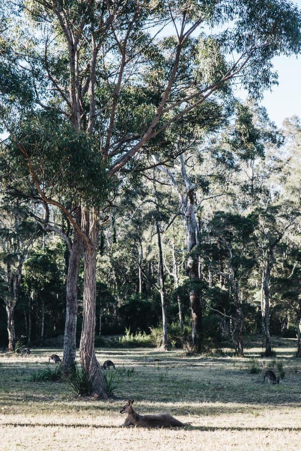 Hotel Worrowing Jervis Bay Huskisson Exterior foto