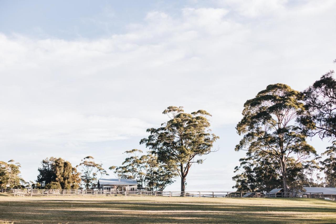 Hotel Worrowing Jervis Bay Huskisson Exterior foto
